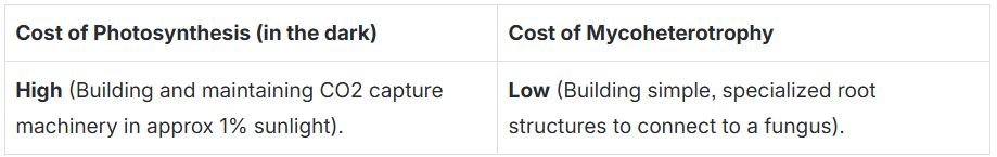Table comparing the cost of photosynthesis in the dark (high) with the cost of mycoheterotrophy (low).
