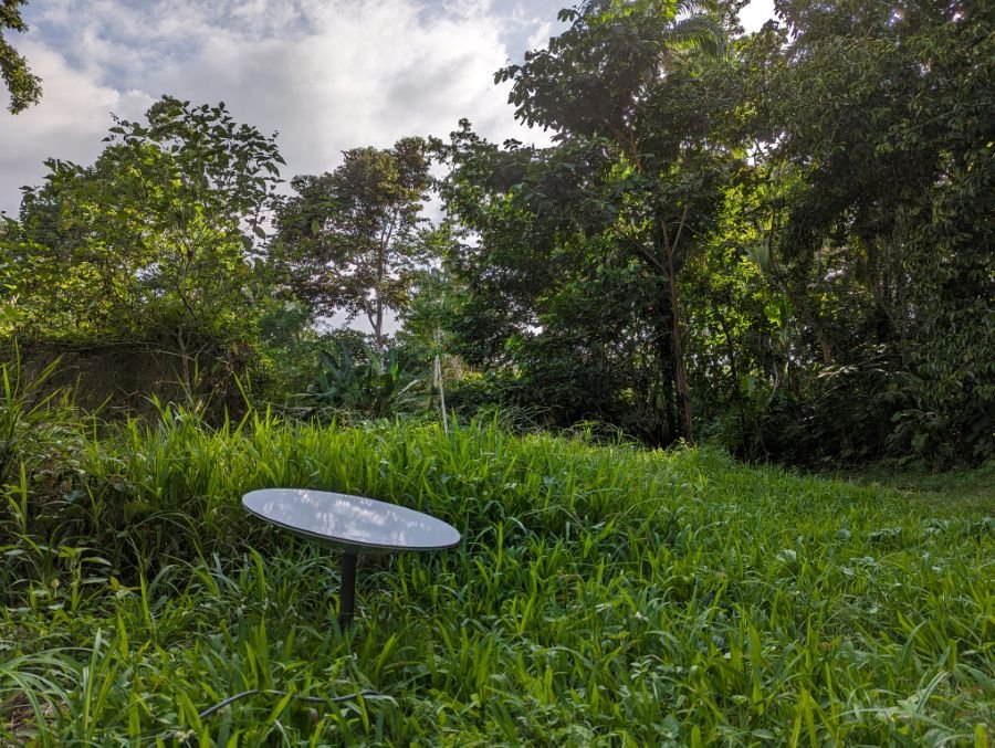 A Starlink satellite dish in a grassy clearing at the edge of Solarpunk Forest.